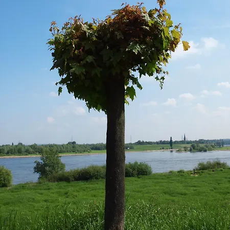 Hotel Hotel-restaurant Orsoyer Hof 2*