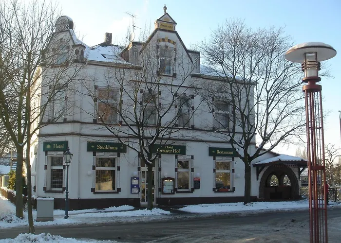 奥尔索耶霍夫酒店及餐厅 莱因伯格